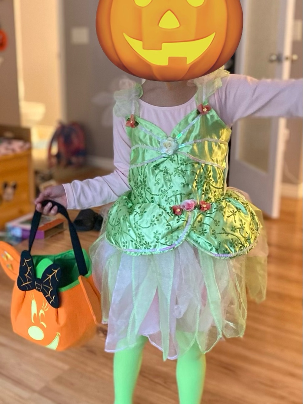 Tinkerbell costume (4-6)
